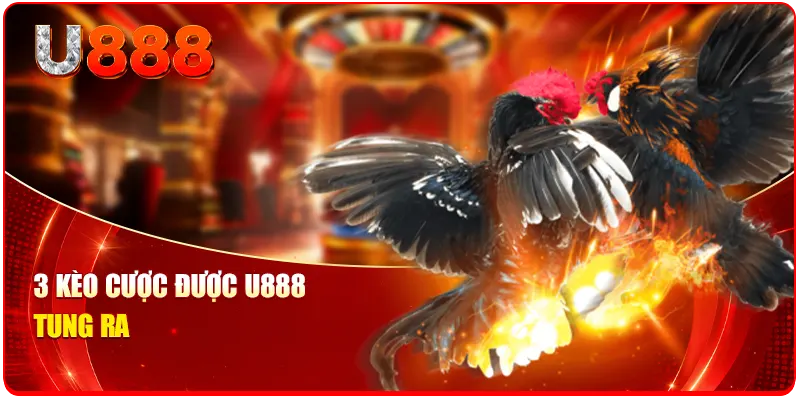 3 kèo cược được U888 tung ra
