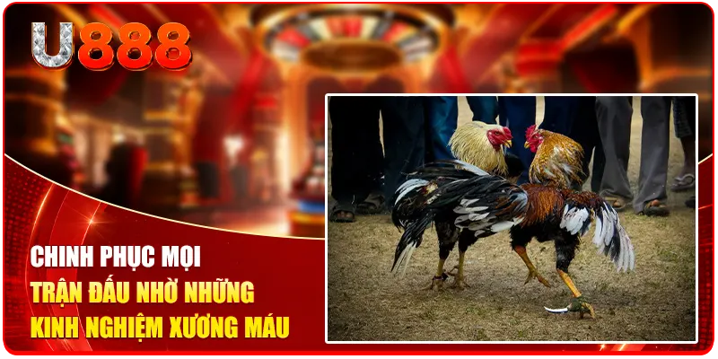 Chinh phục mọi trận đấu nhờ những kinh nghiệm xương máu