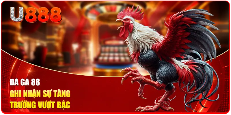 Đá gà 88 ghi nhận sự tăng trưởng vượt bậc